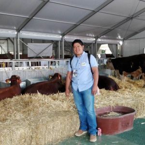 Meet your Posher, Alfredo